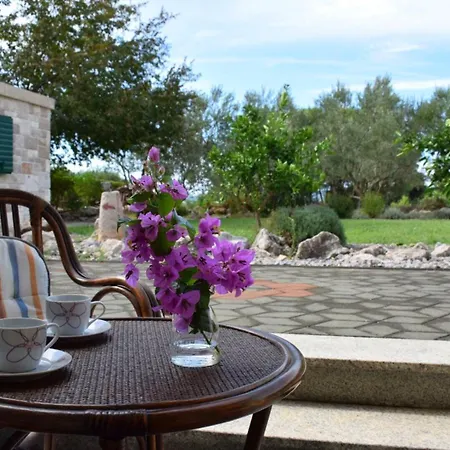 With A Swimming Pool - 5943 公寓 扎达尔